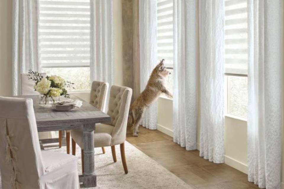 Adding Custom Roller Shades by Hunter Douglas