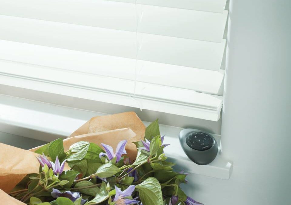 Smooth Control with Motorized Blinds