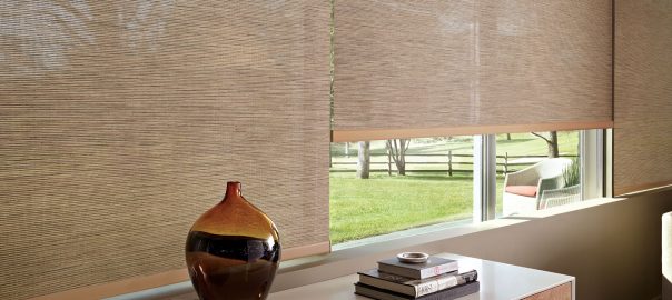 Options for Motorized Window Treatments for Homes Near Newton, MA